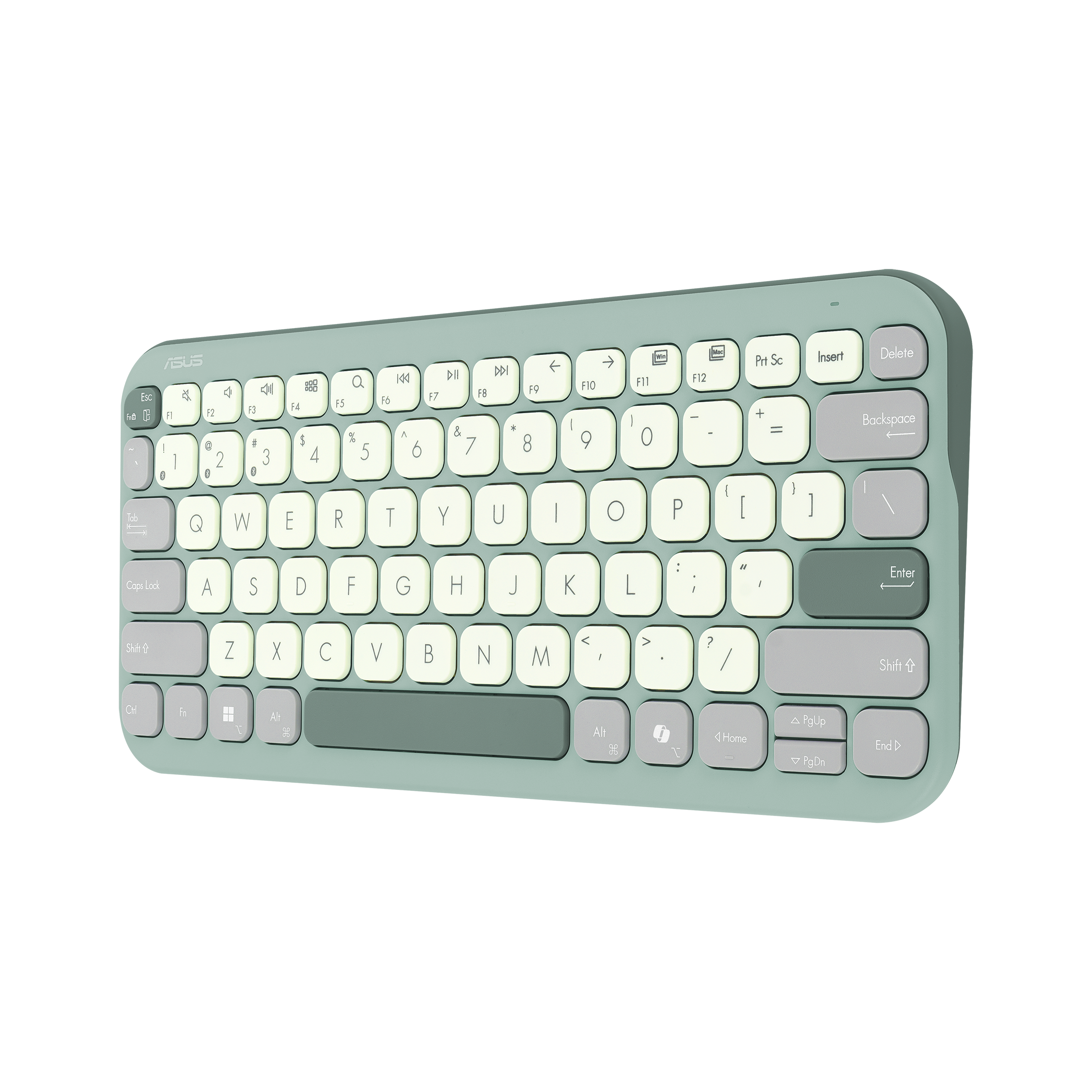 ASUS KW100 Marshmallow Tastatur grün