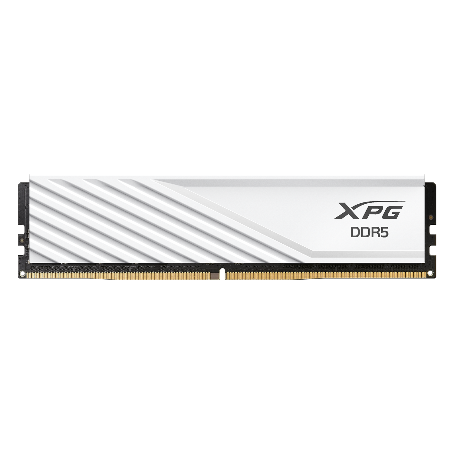 DIMM 32 GB DDR5-5600 (1x 32 GB), Arbeitsspeicher