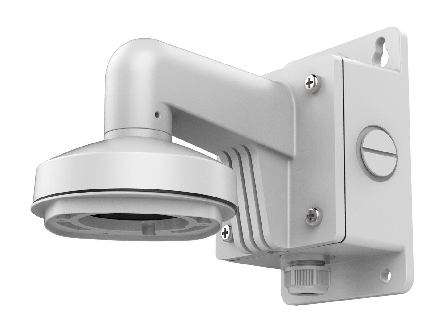 LevelOne Wandhalterung für Dome +Anschlussbox Aluminium