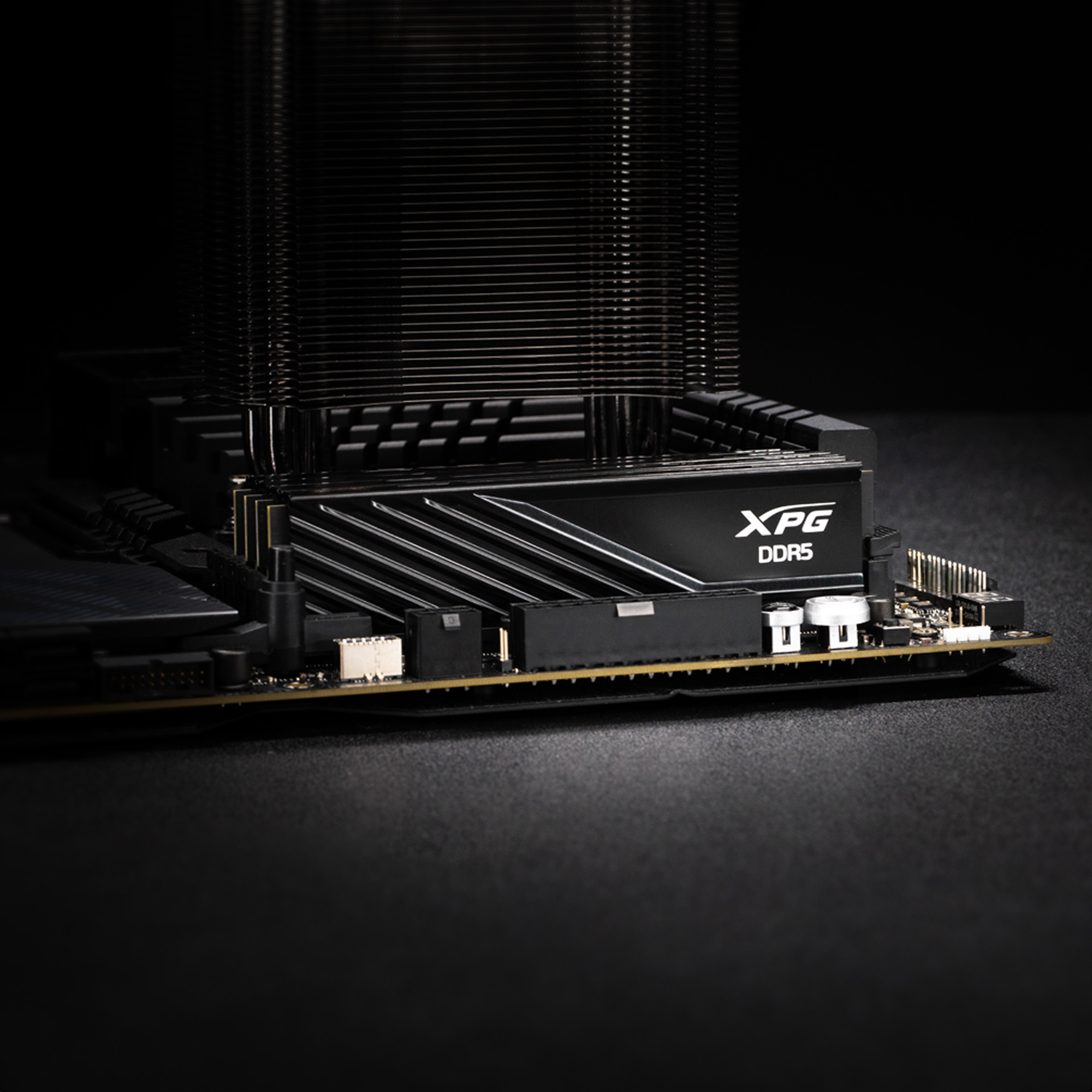 DIMM 32 GB DDR5-5600 (1x 32 GB), Arbeitsspeicher