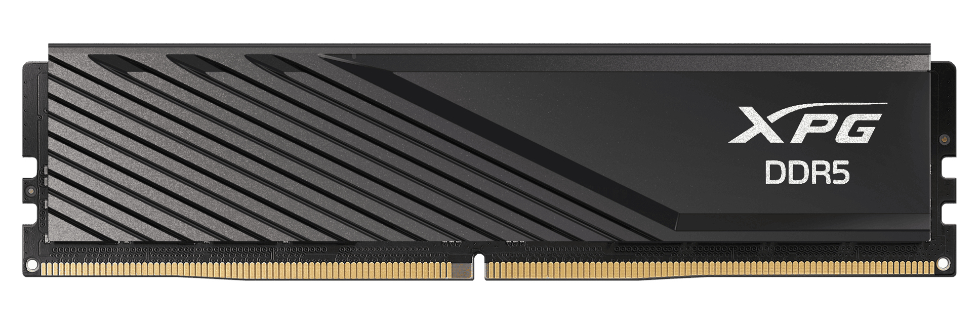 DIMM 32 GB DDR5-6000 (2x 16 GB) Dual-Kit, Arbeitsspeicher