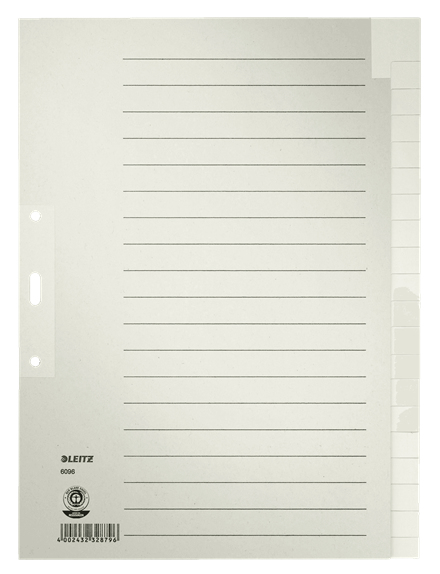 LEITZ Ordnerregister DIN A4 Vollformat blanko grau 20-teilig, 1 Satz
