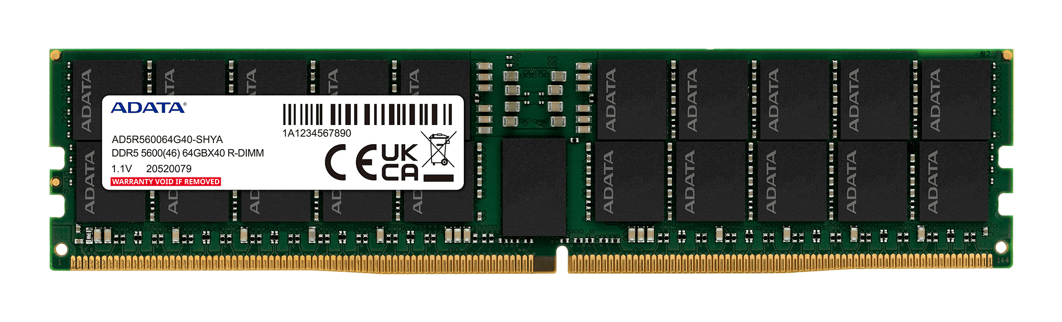 RIMM 32 GB DDR5-5600, Arbeitsspeicher