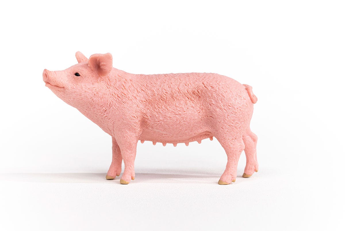 Farm World Schwein, Spielfigur