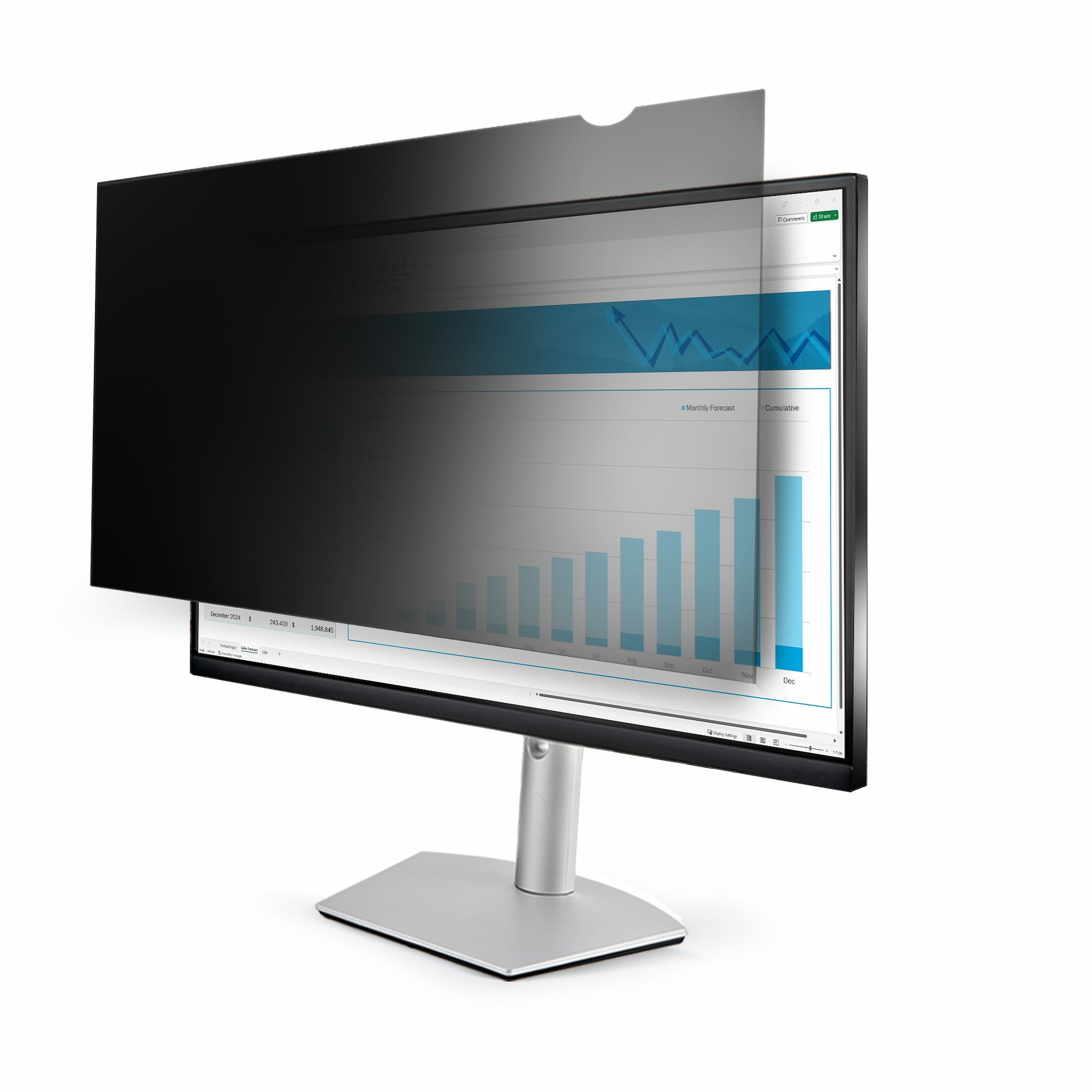 25 MONITOR PRIVACY SCREEN .