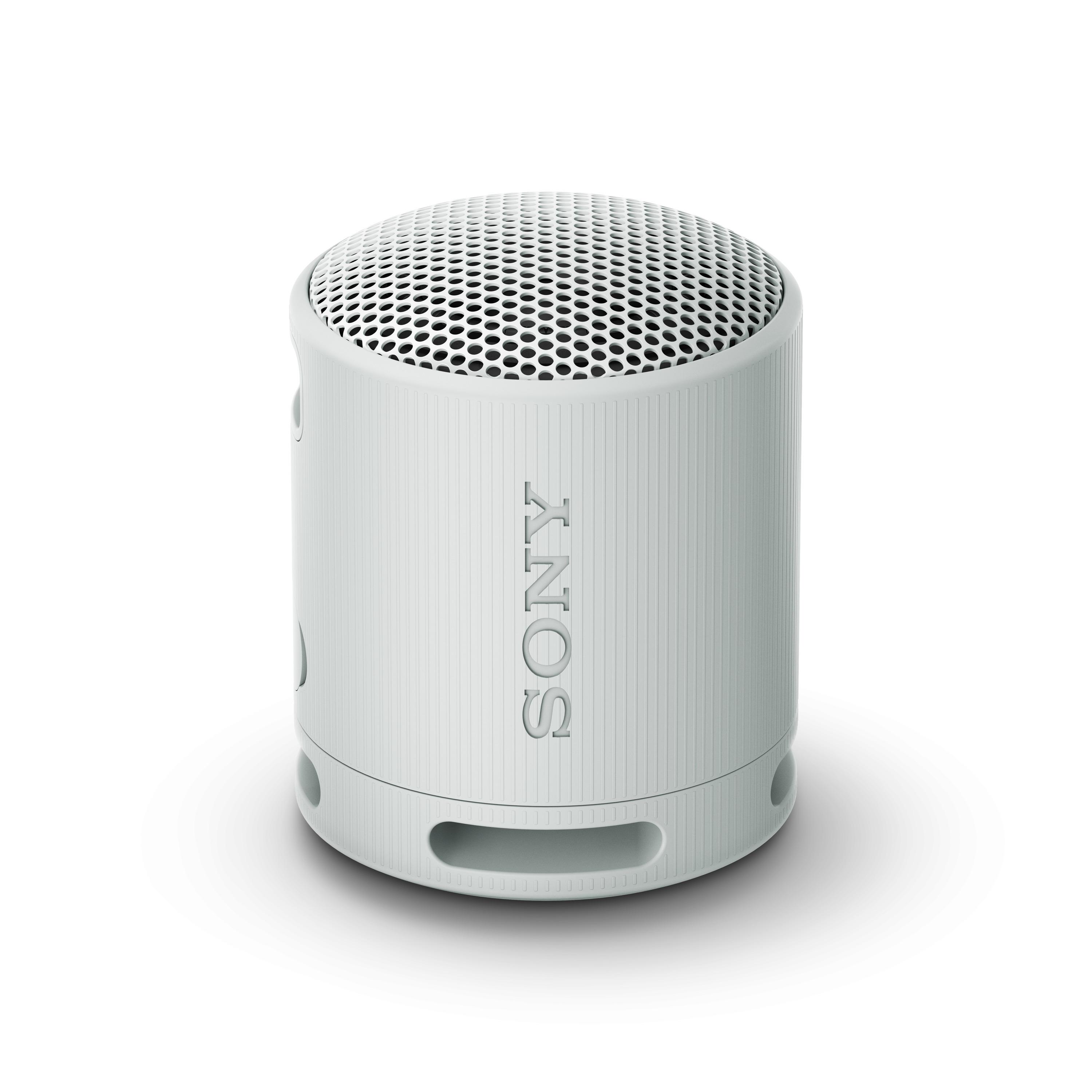 Sony SRS-XB100H BT Lautsprecher grau