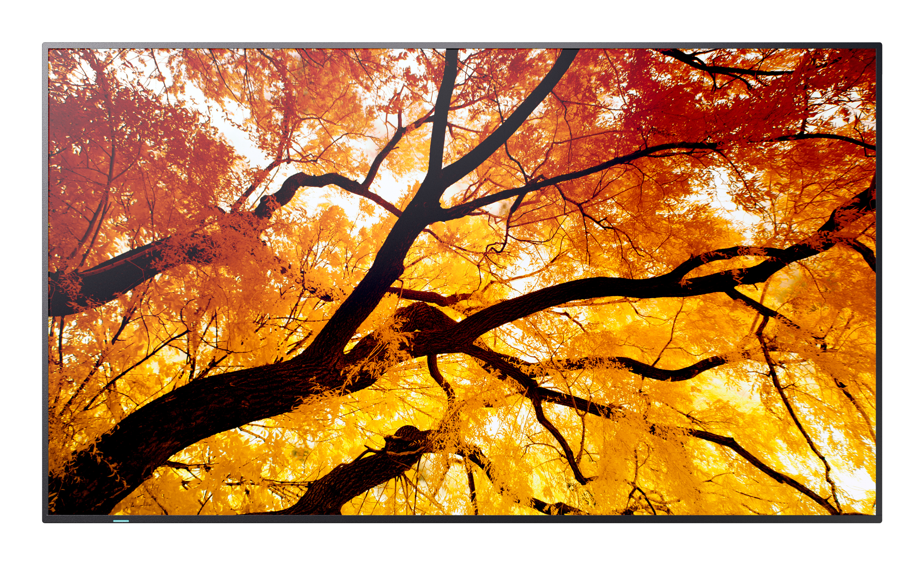 M432 43IN LFD UHD D-LED 550CD/QM SDM CM 24/7
