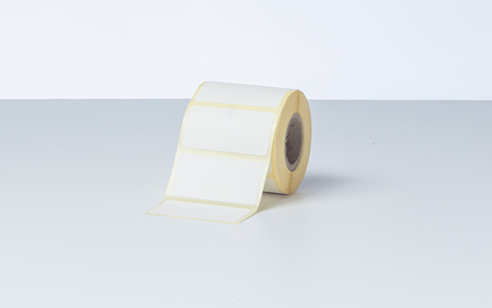 LABEL 51MM X 26MM (PACK OF 12) .