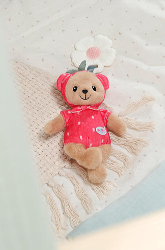 BABY born® for babies Teddy ErdBÄRe 18cm, Kuscheltier
