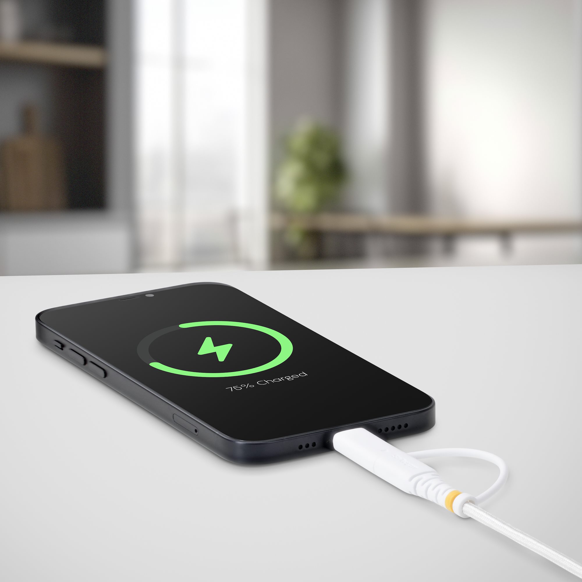 2M USB-C CABLE WITH LIGHTNING .
