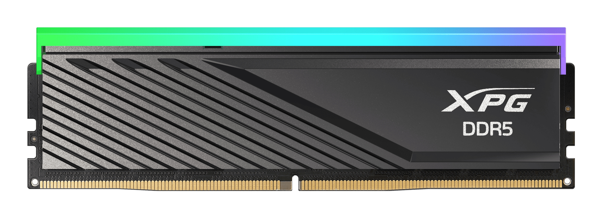 DIMM 16 GB DDR5-6000, Arbeitsspeicher
