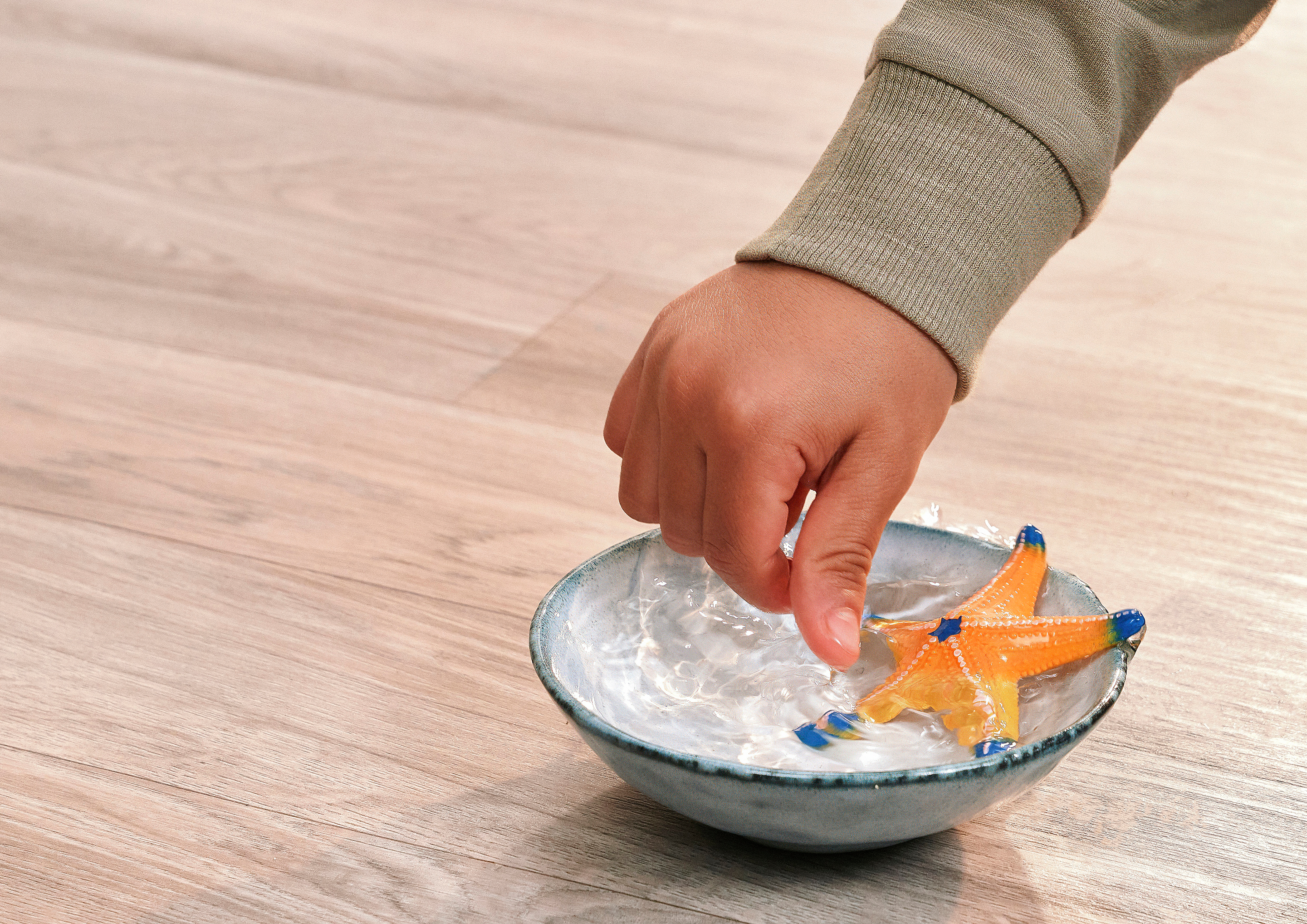 Wild Life Seestern mit Farbwechsel, Spielfigur