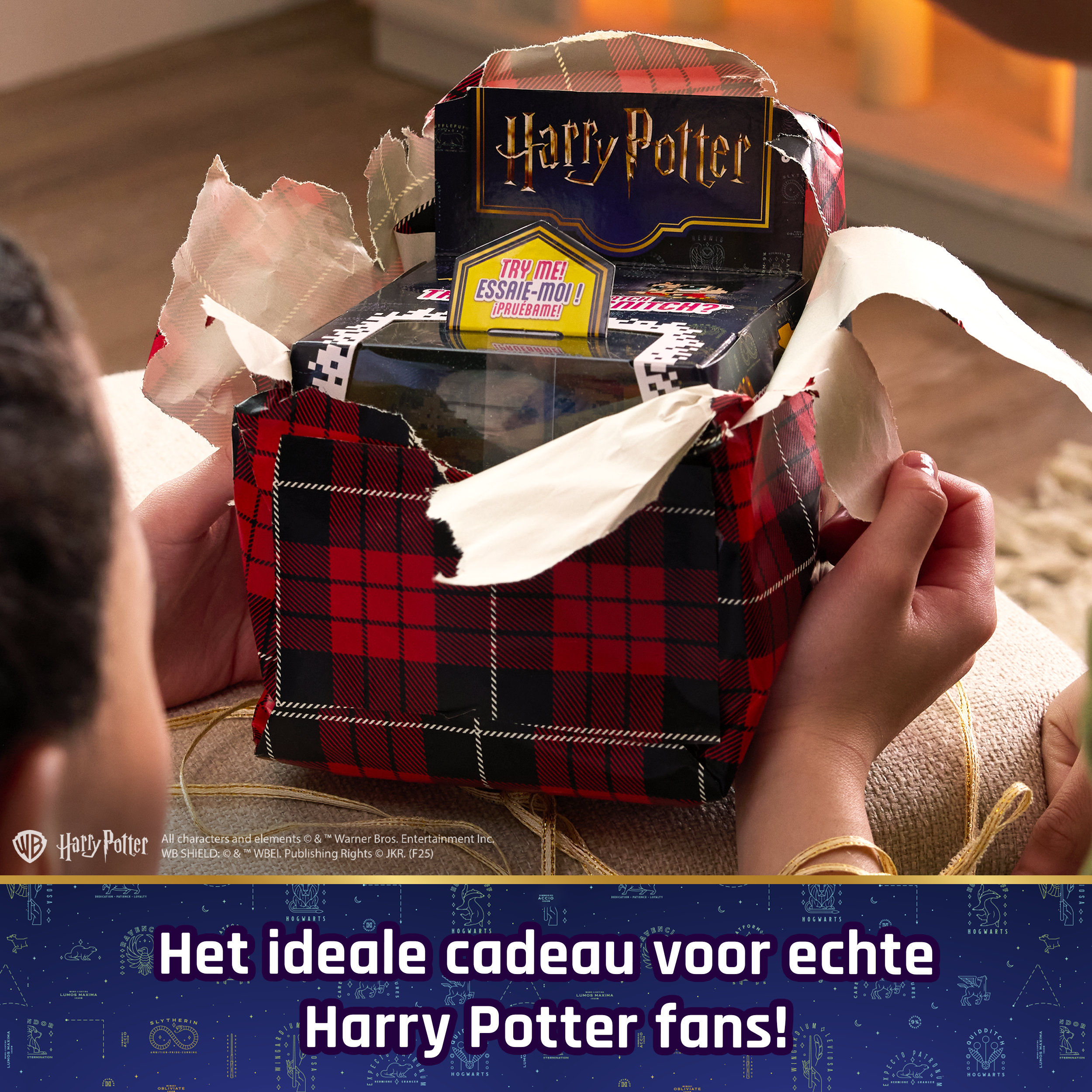 Bitzee Harry Potter, Spielfigur