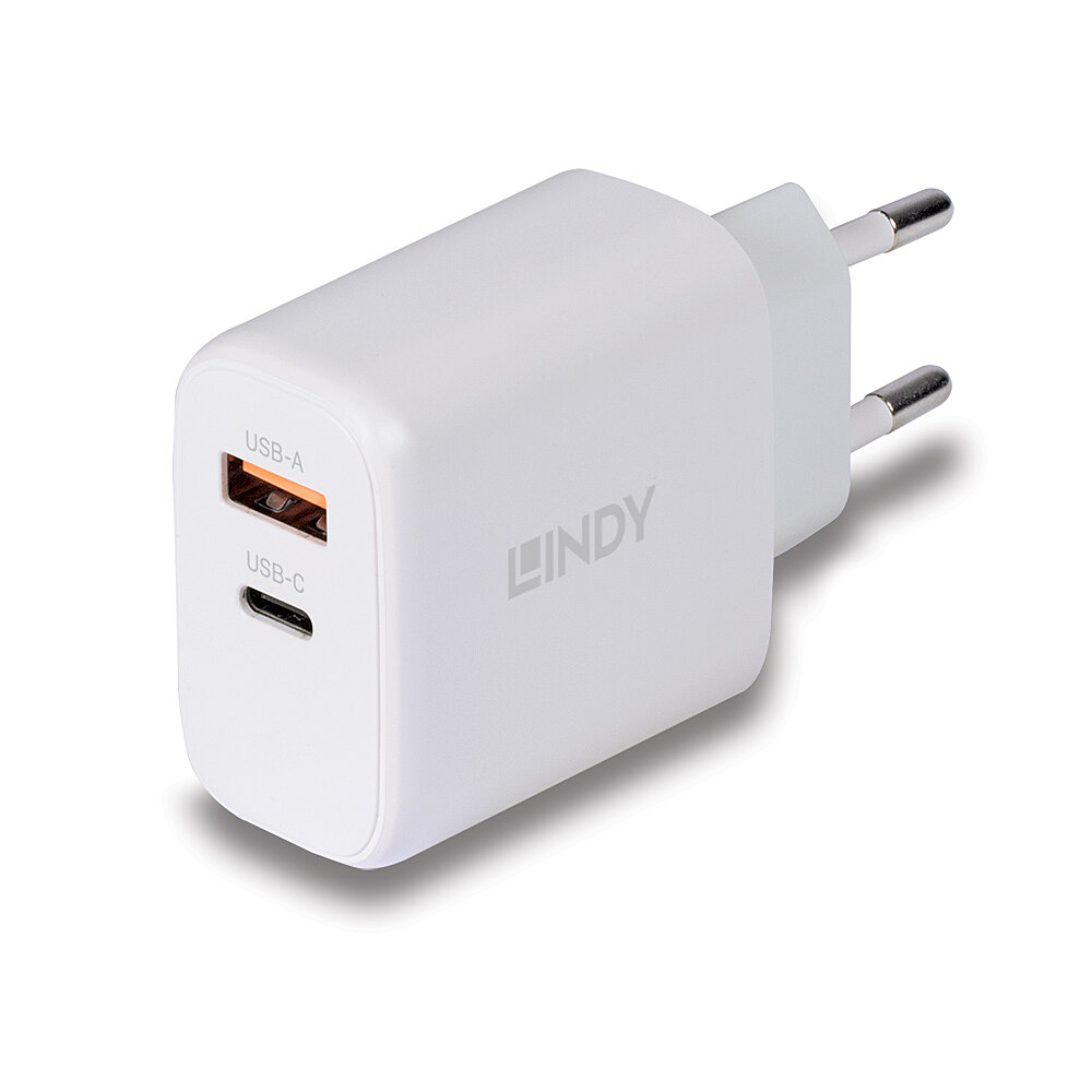 LINDY 65W USB Type C GaN Charger mit EU-Stecker