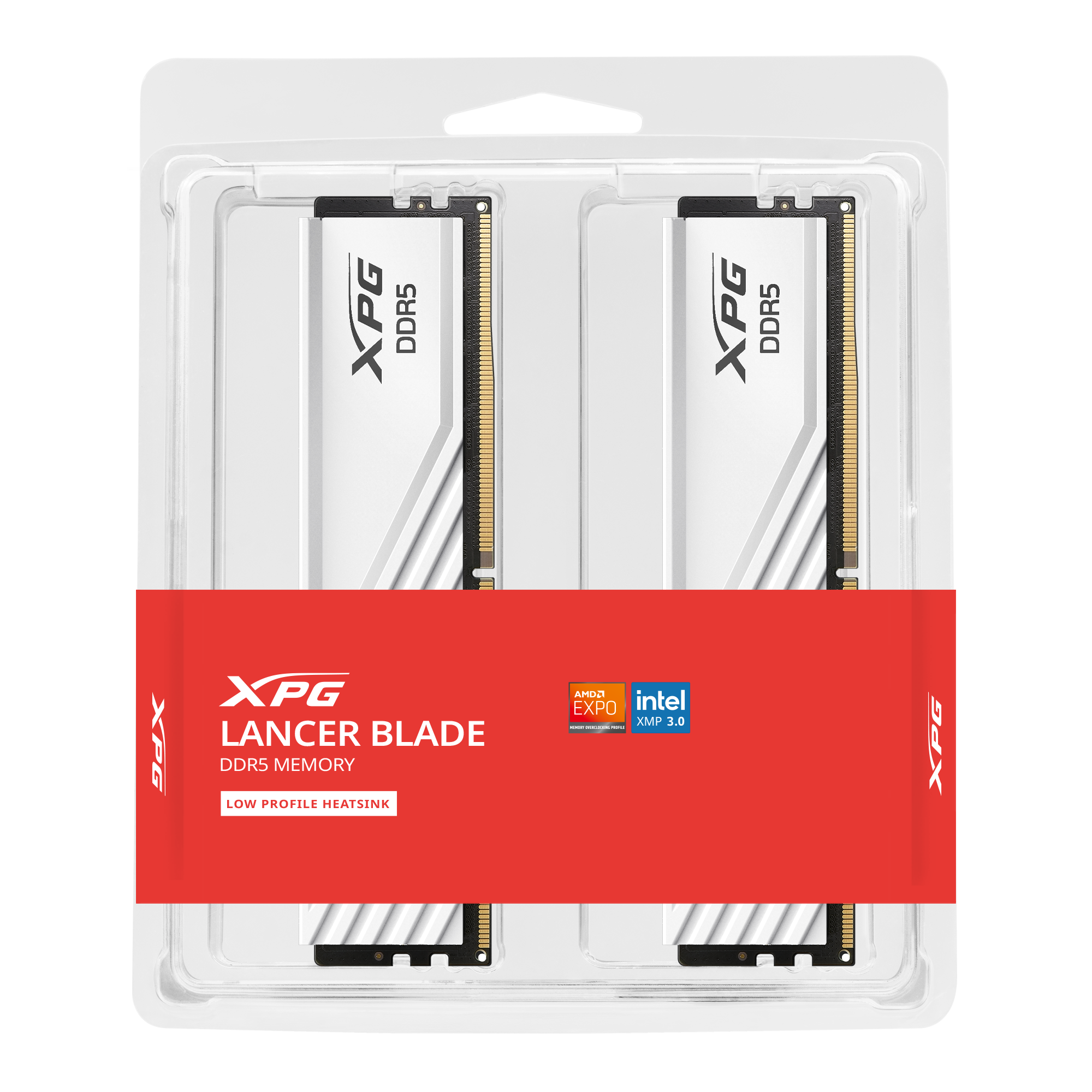 DIMM 32 GB DDR5-5600 (1x 32 GB), Arbeitsspeicher