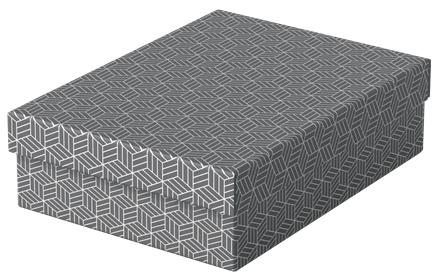 Esselte Home Aufbewahrungsboxen 8,0 l grau 26,5 x 36,0 x 10,0 cm, 3 St.