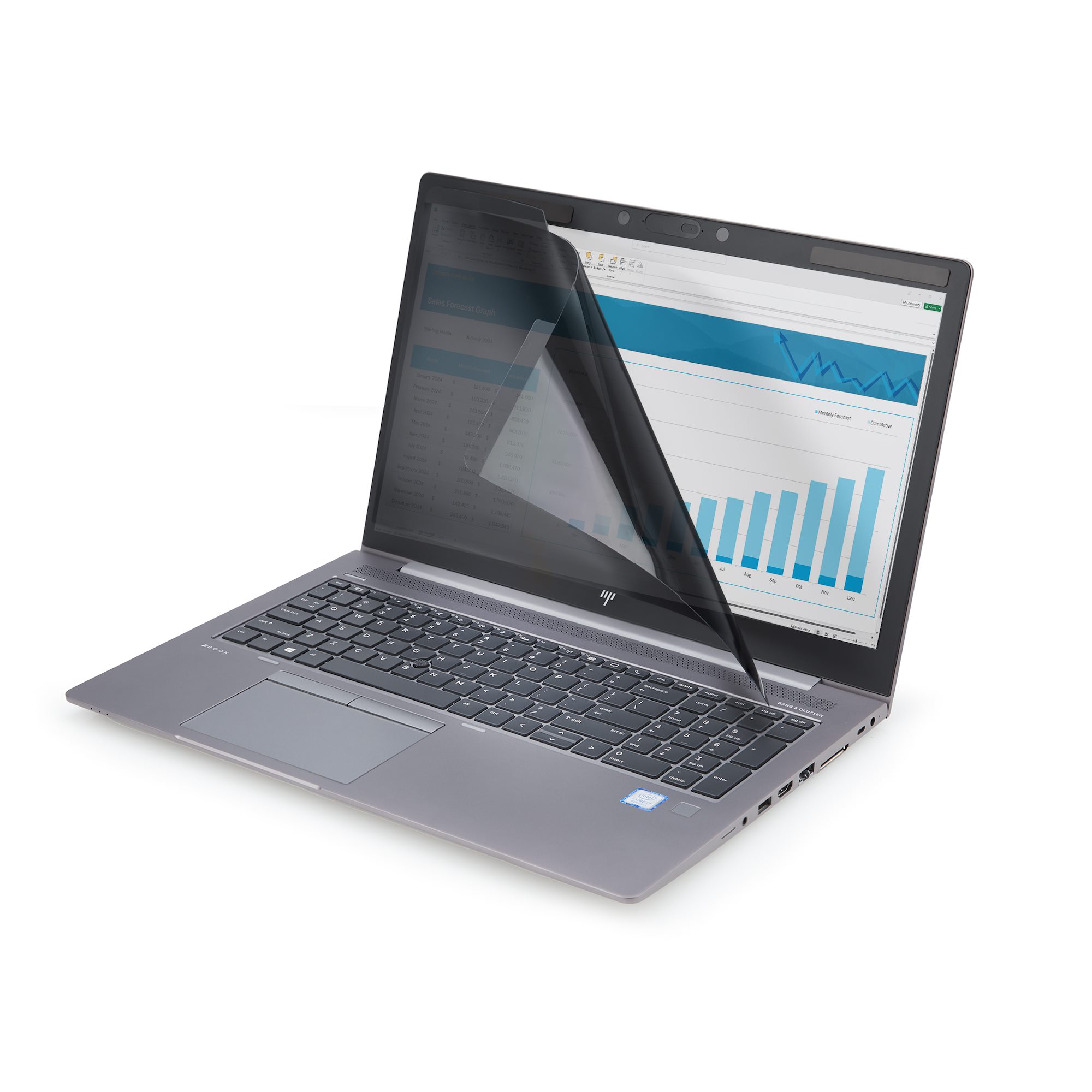 STARTECH.COM Magnetischer Blickschutz fur 35,56cm 14Zoll 16:9 Laptop Laptop Blickschutzfolie/Sichtschutzfolie Blaulichtfilter