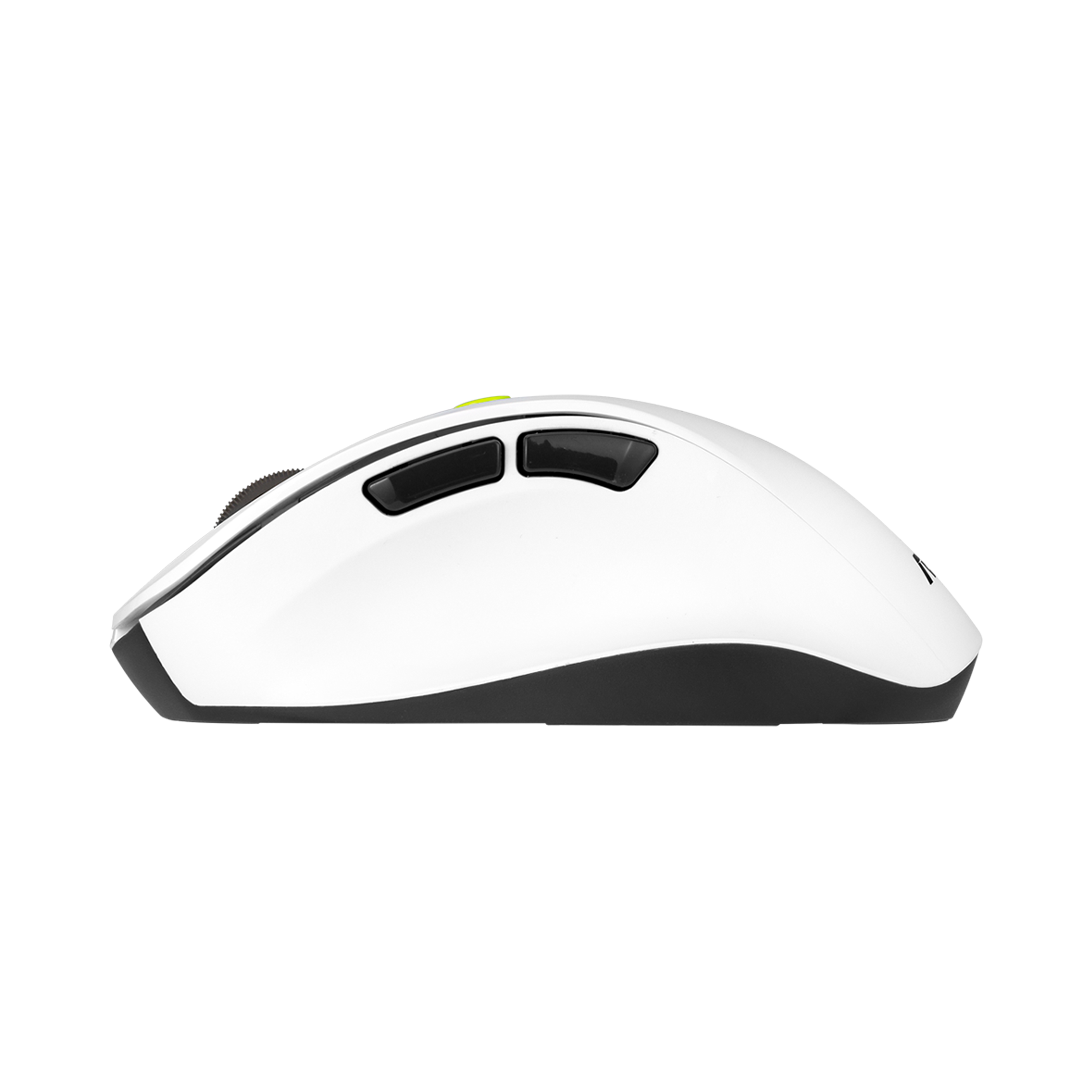 ASUS MD105 Maus wireless 2400dpi Volt Green