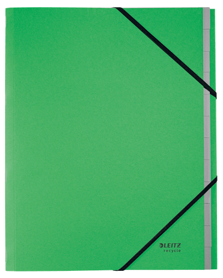 LEITZ Ordnungsmappe recycle 3915 12 Fächer grün, 1 St.