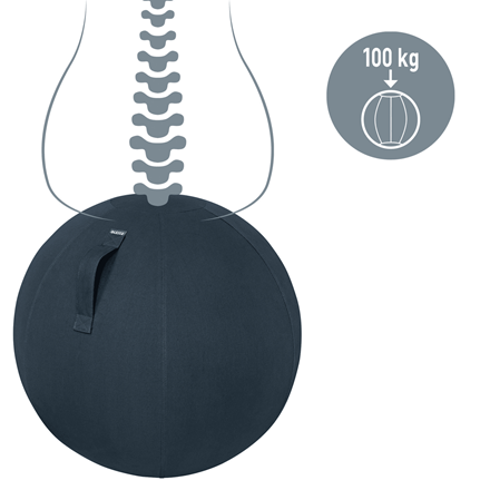 LEITZ Ergo Cosy Sitzball grau 65,0 cm