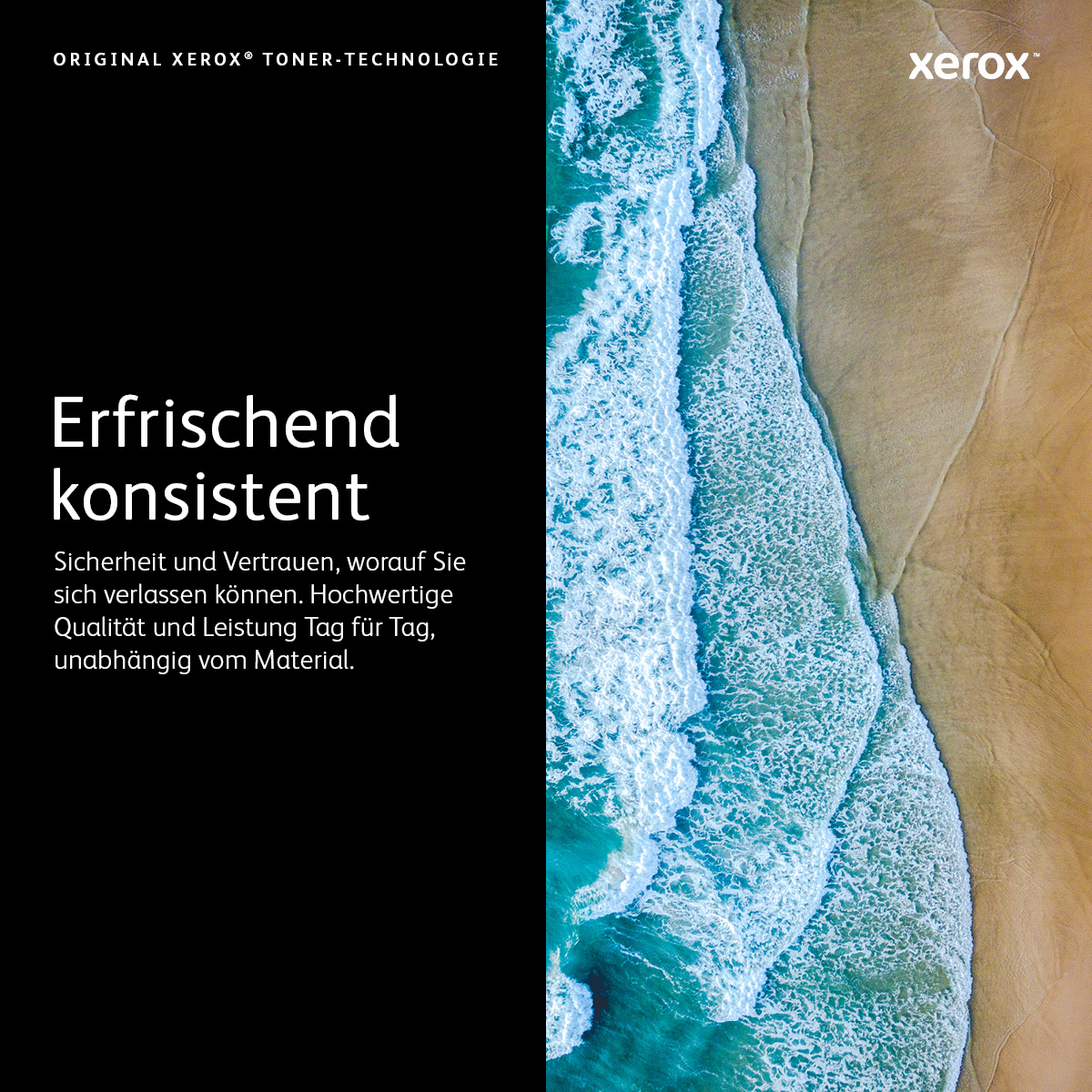 xerox 101R00555 schwarz Trommel