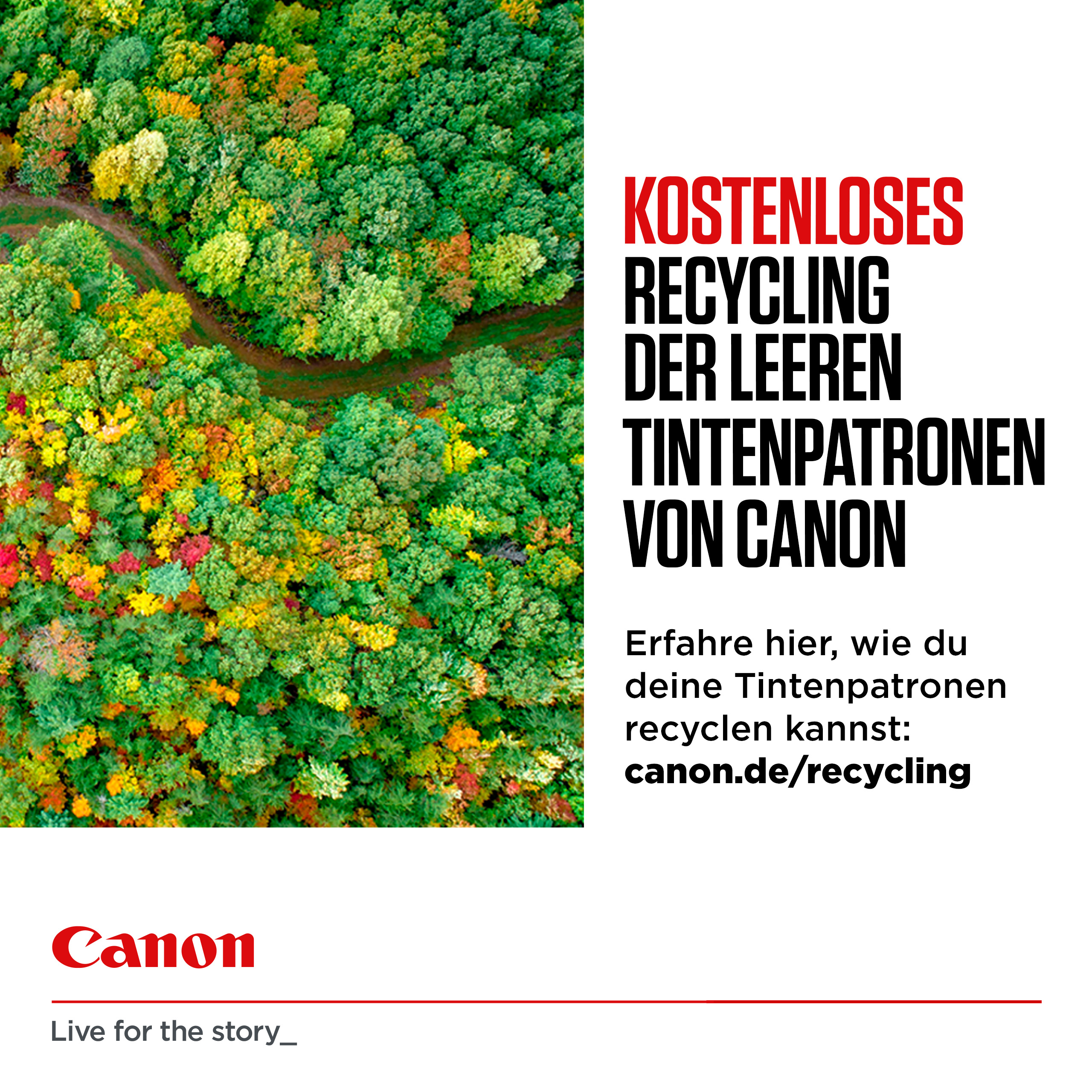 Canon MC-G06 (6259C001) Resttintenbehälter, 1 St.