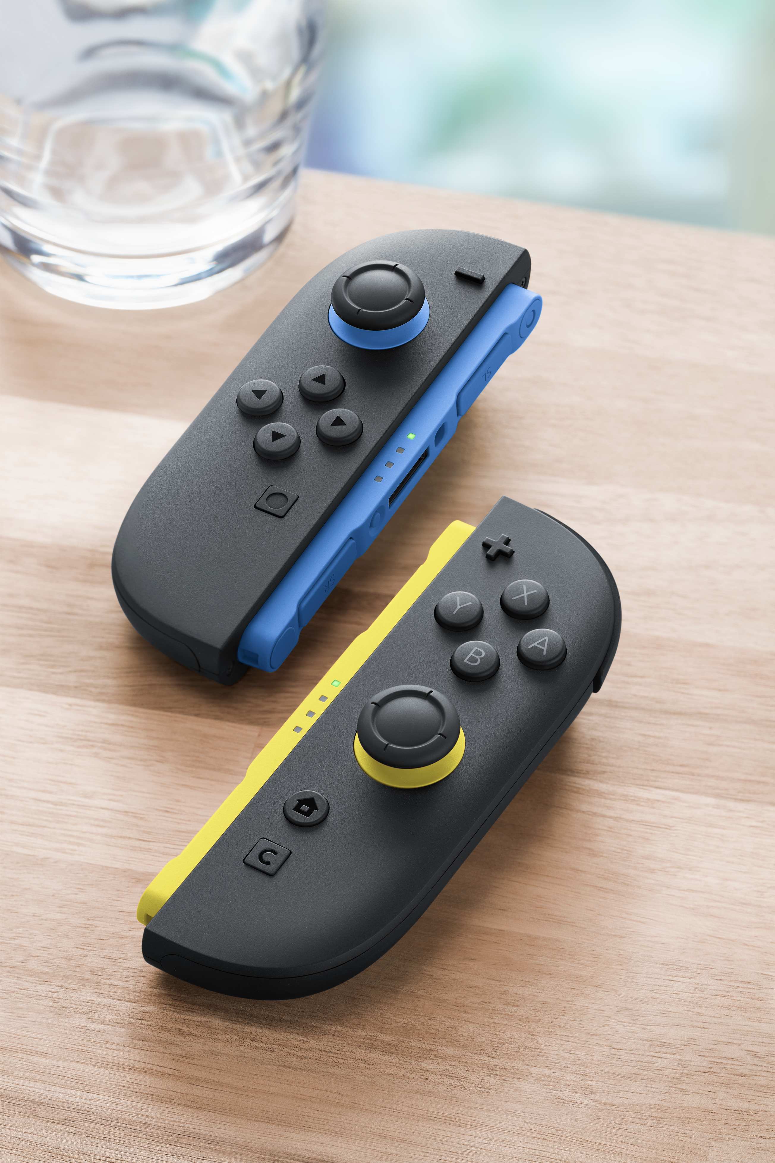Joy-Con 2-Controller, Gamepad