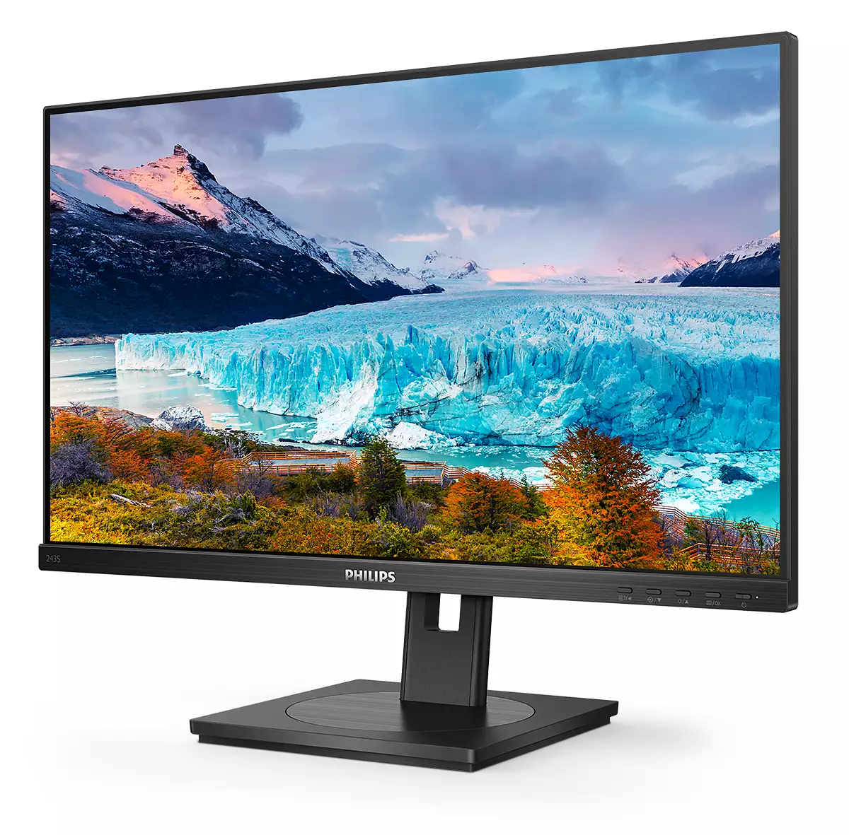 243S1 60.5CM 24IN IPS 1920X1080 1000:1 250 CD/QM 16:9