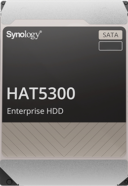 HAT5300-12T, Festplatte