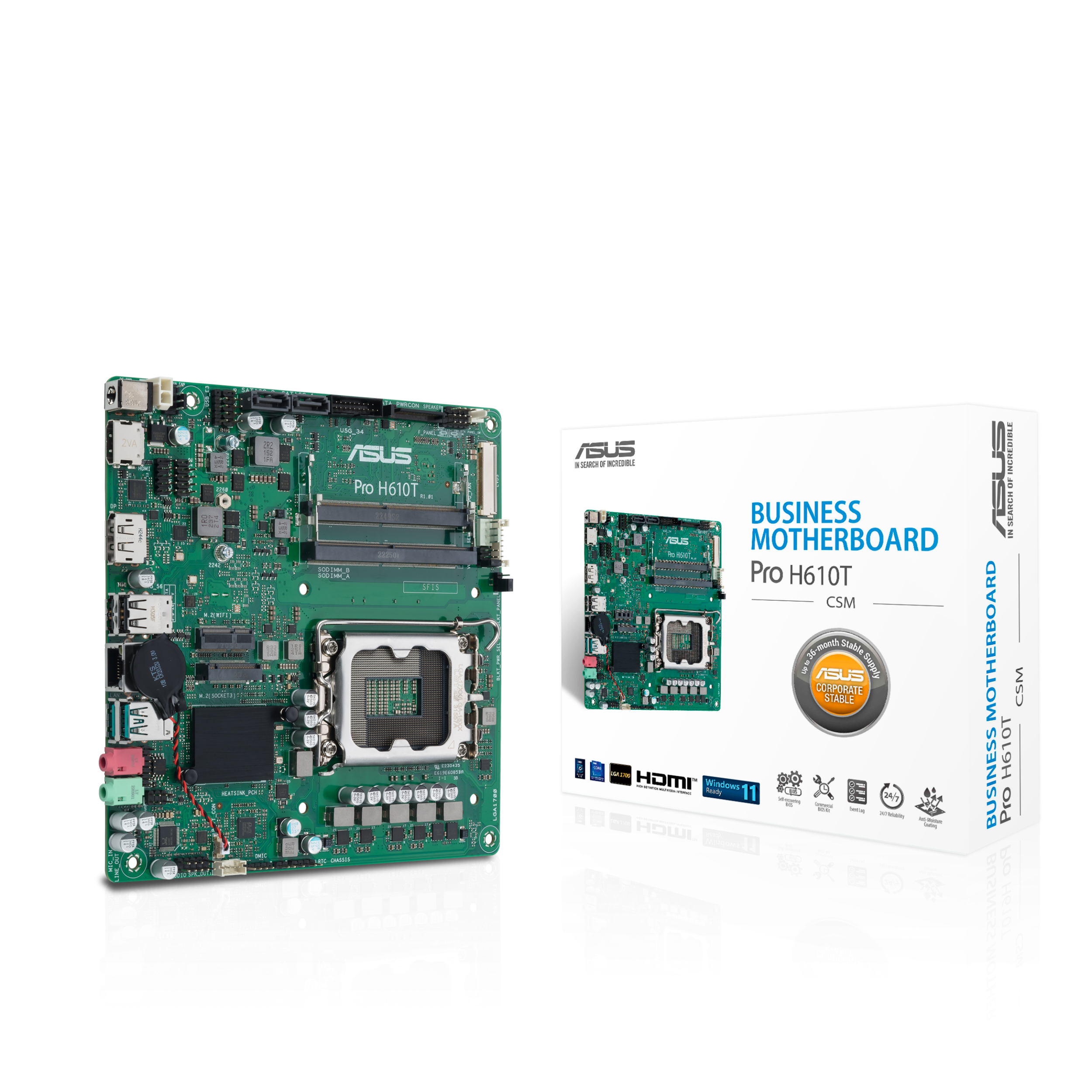 PRO H610T-CSM, Mainboard