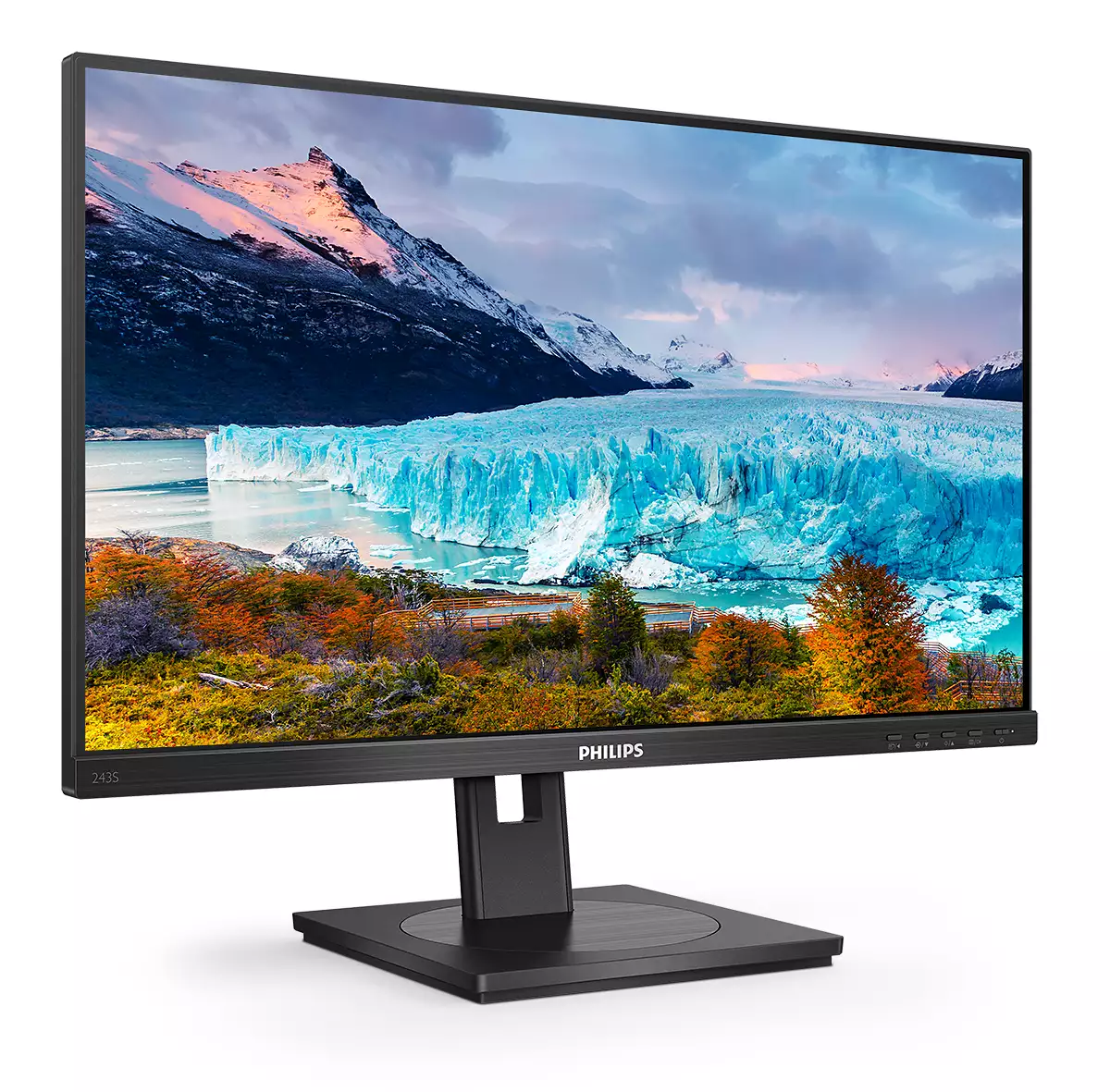 243S1 60.5CM 24IN IPS 1920X1080 1000:1 250 CD/QM 16:9