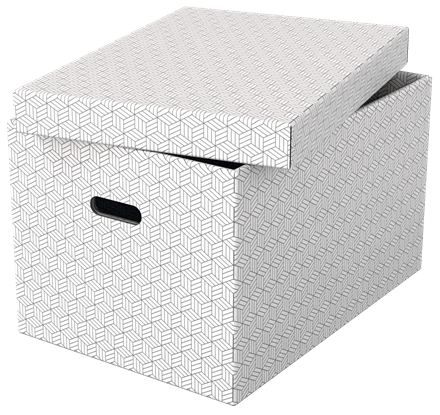 Esselte Home Aufbewahrungsboxen 50,0 l weiß 35,5 x 51,0 x 30,5 cm, 3 St.