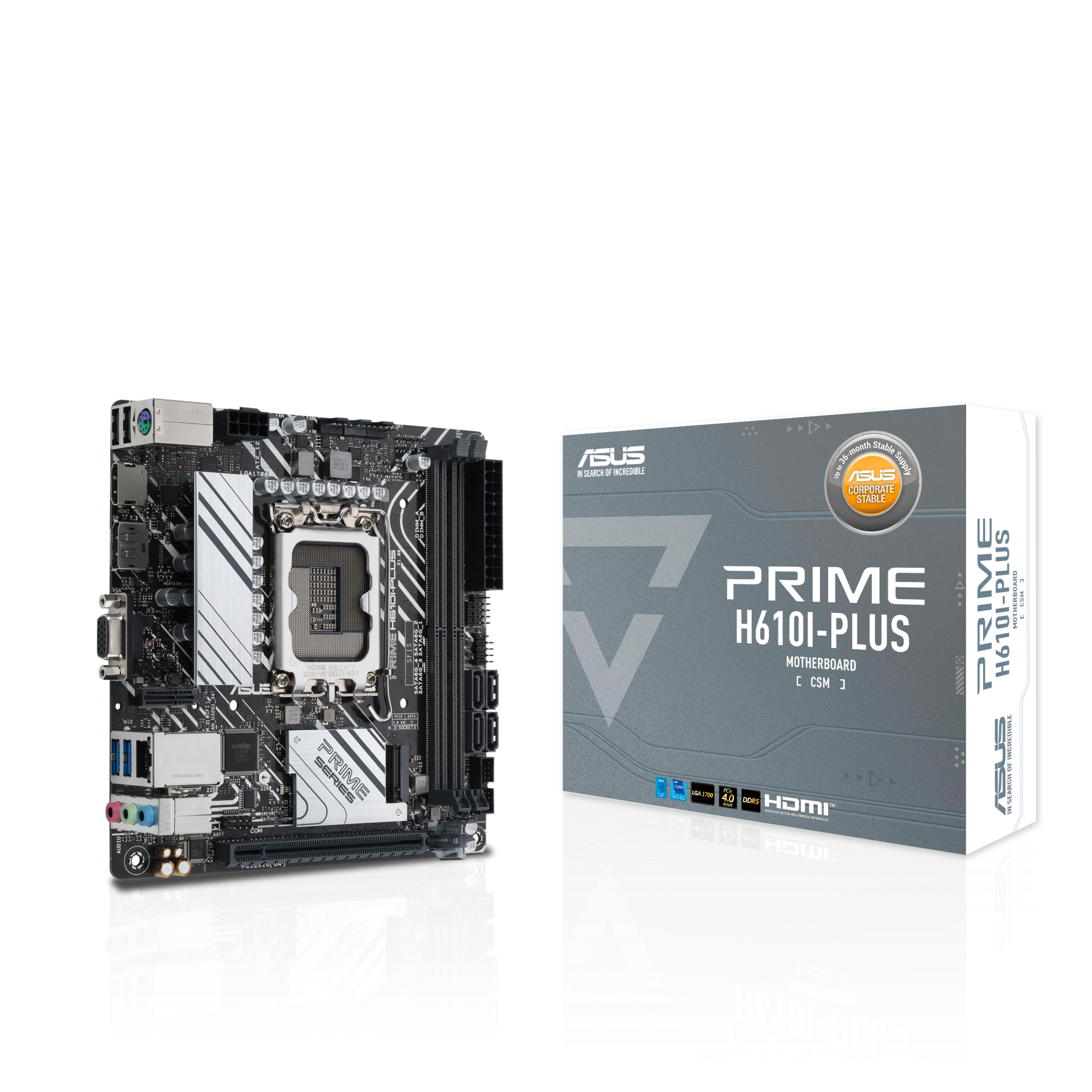 ASUS PRIME H610I-PLUS-CSM Intel LGA 1700 2DDR5 miniATX 4xSATA MB 1xHDMI 1xDP 1xD-Sub