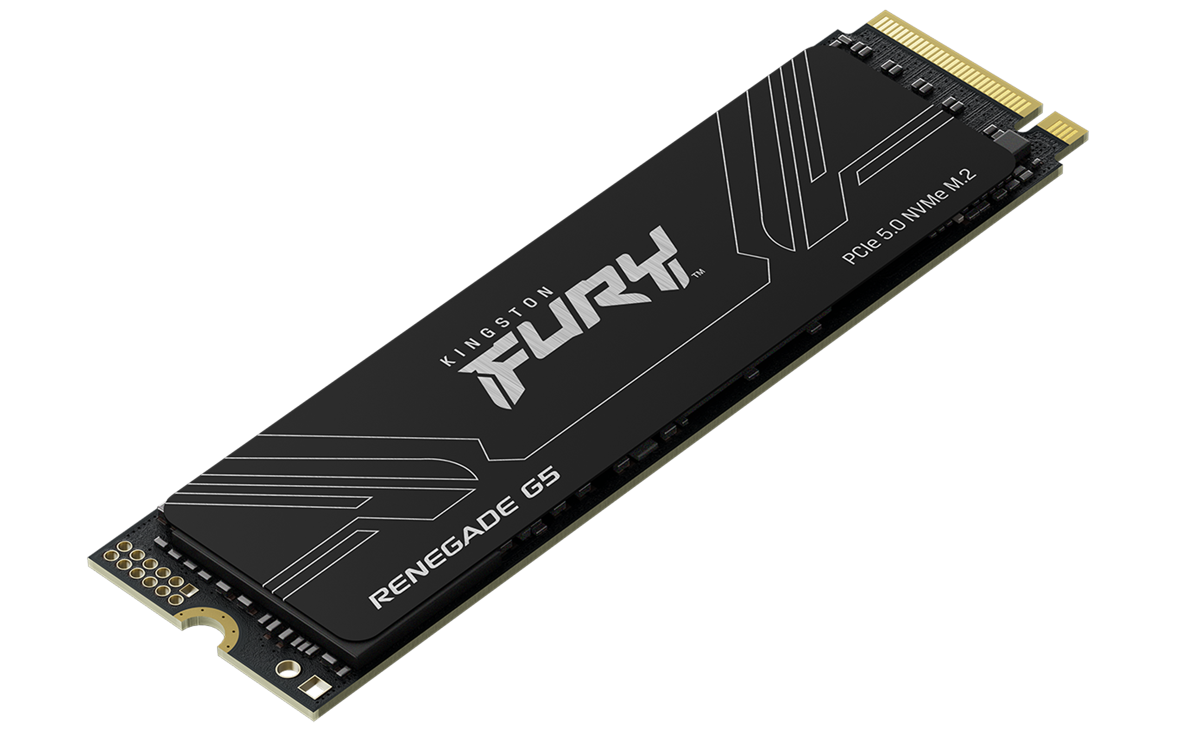 Renegade G5 1 TB, SSD