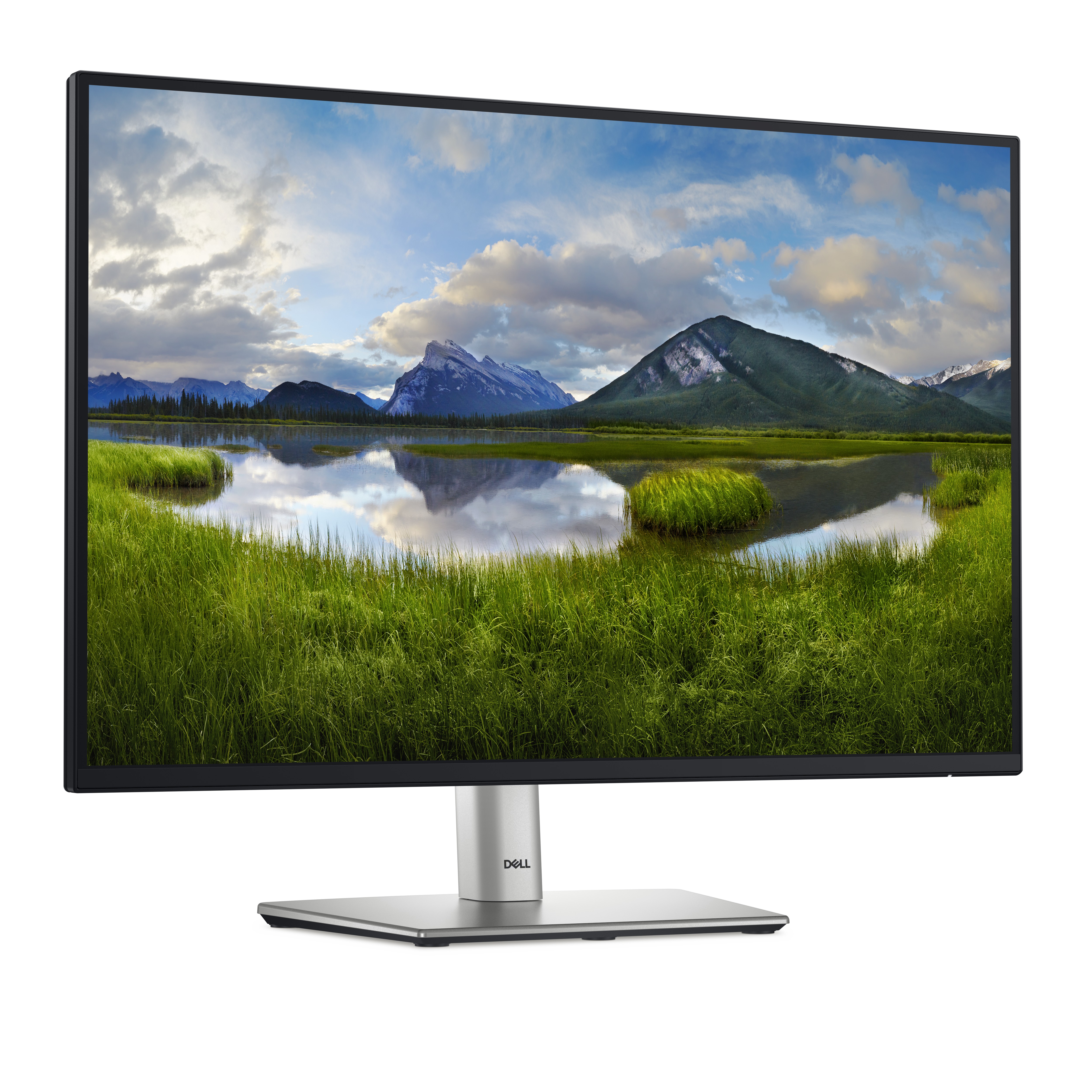 P2425E, LED-Monitor