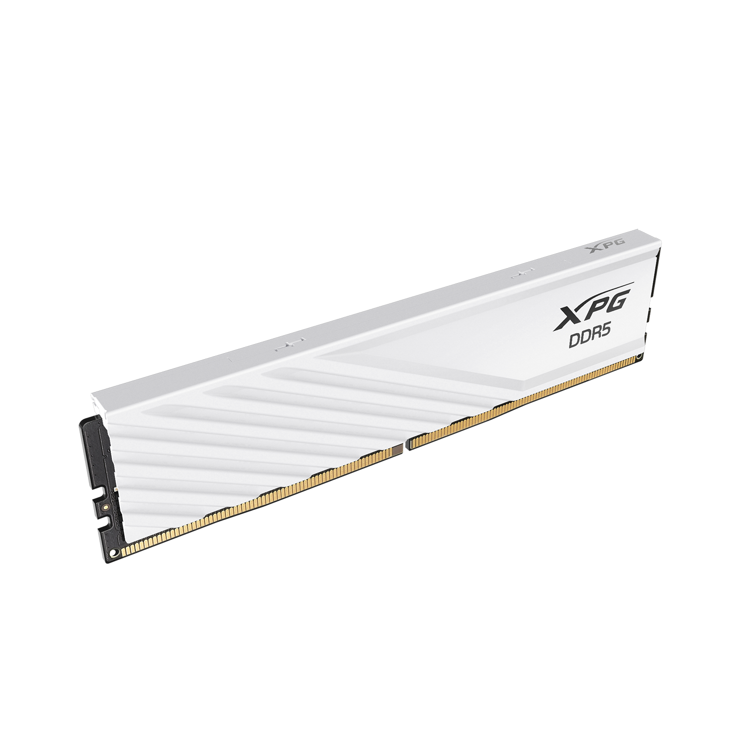 DIMM 32 GB DDR5-5600 (1x 32 GB), Arbeitsspeicher