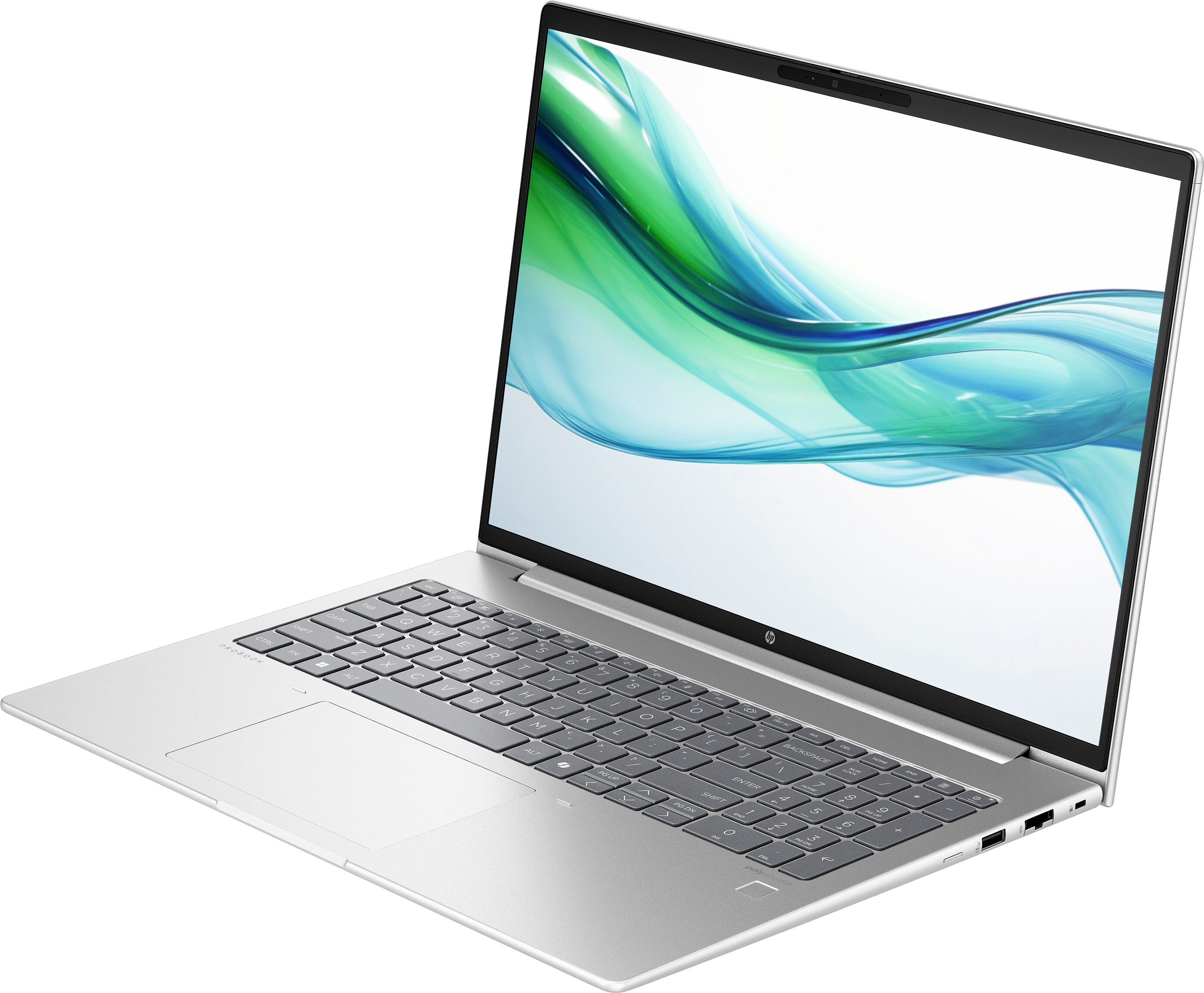 ProBook 460 G11 (D05CVES), Notebook