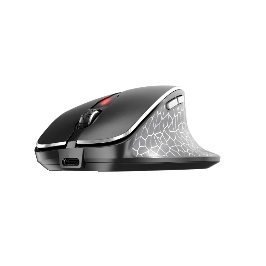 MW 8C ERGO, Maus