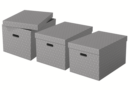 Esselte Home Aufbewahrungsboxen 50,0 l grau 35,5 x 51,0 x 30,5 cm, 3 St.