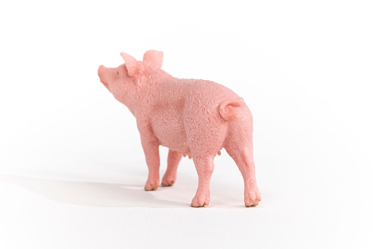 Farm World Schwein, Spielfigur