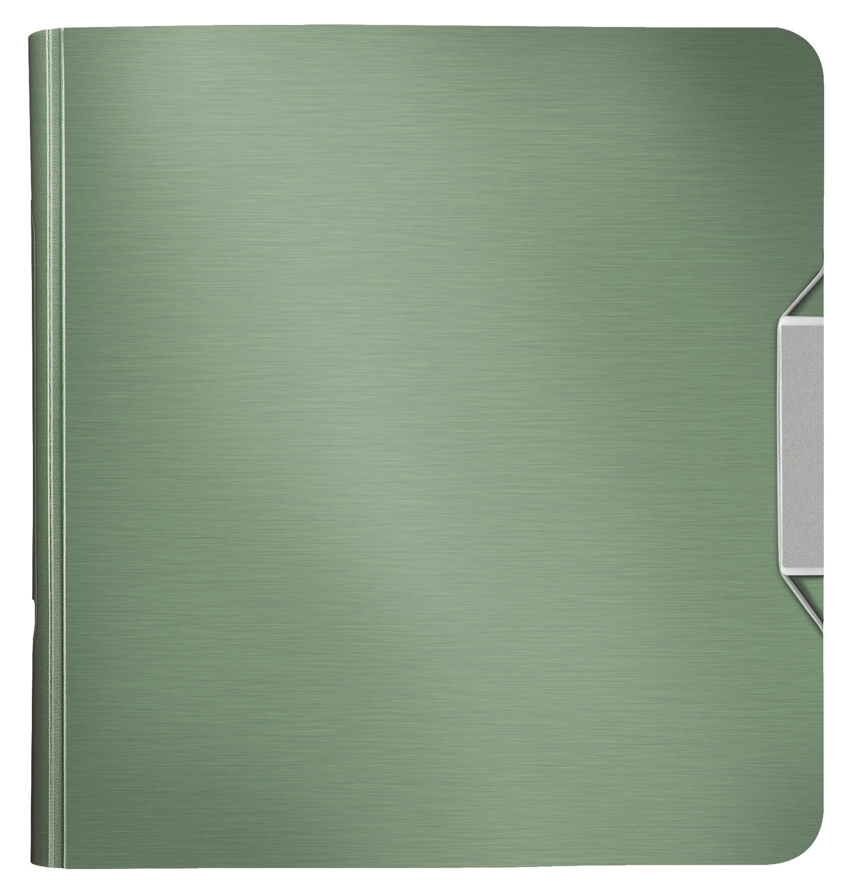LEITZ Active Style 1108 Ordner seladon grün Kunststoff 8,2 cm DIN A4, 1 St.
