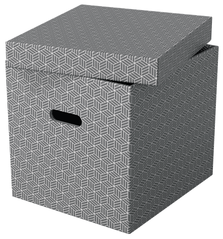 Esselte Home Aufbewahrungsboxen 33,0 l grau 32,0 x 36,5 x 31,5 cm, 3 St.