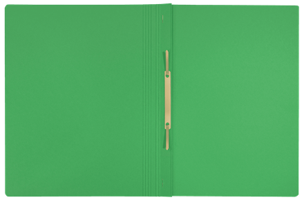 LEITZ Schnellhefter Recycle 3904 Karton grün DIN A4, 1 St.