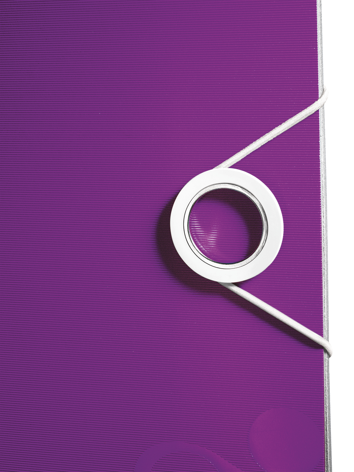 LEITZ Active WOW 1106 Ordner violett Kunststoff 8,2 cm DIN A4, 1 St.
