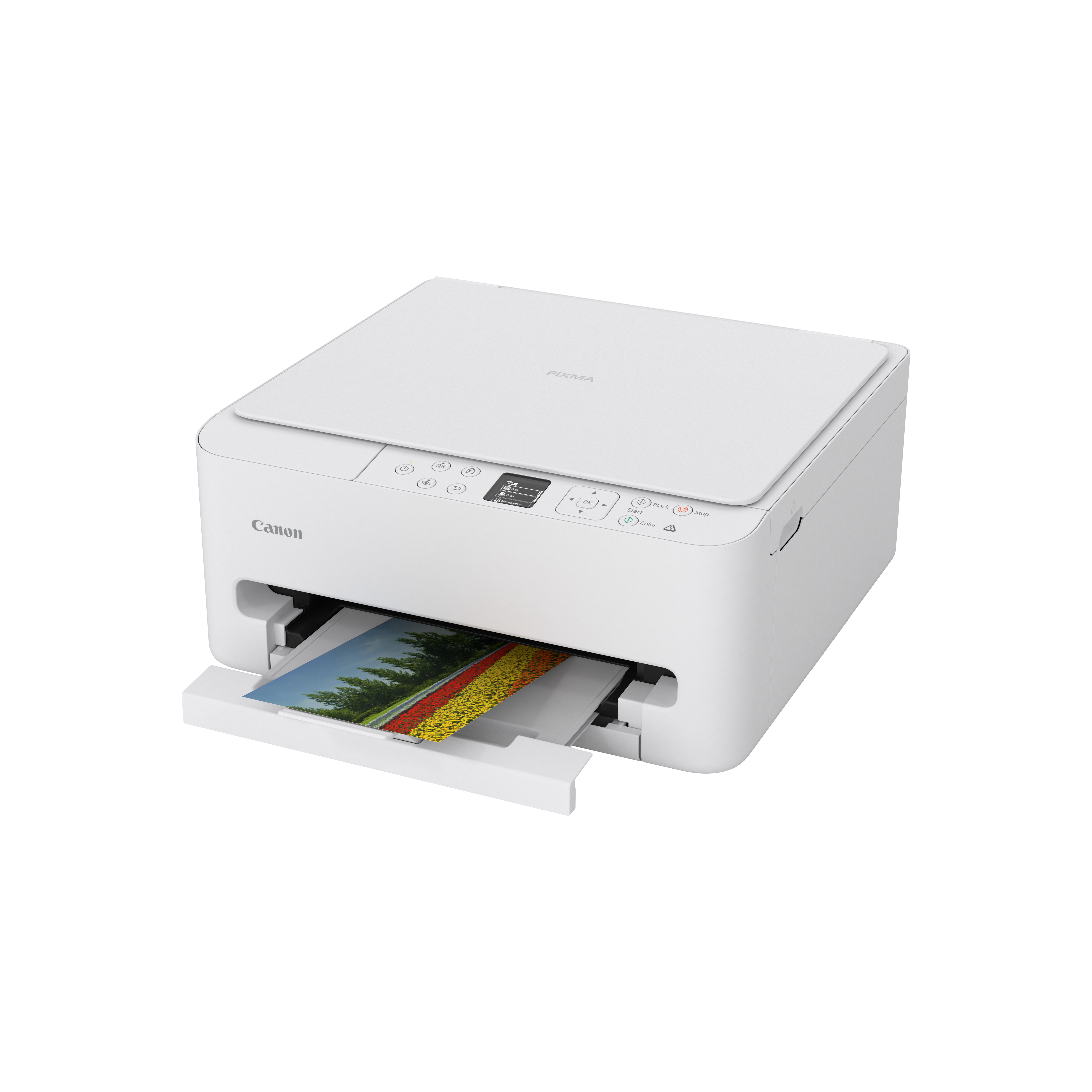 CANON PIXMA TS6550i A4 3in1 MFP Printer weiss Duplex 14ppm
