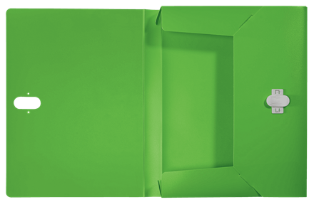 LEITZ Heftbox Recycle 4623 4,0 cm grün, 1 St.