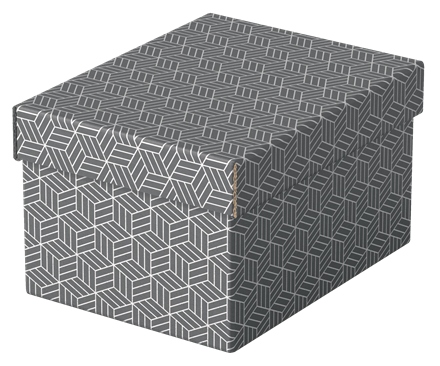 Esselte Home Aufbewahrungsboxen 6,5 l grau 20,0 x 25,5 x 15,0 cm, 3 St.