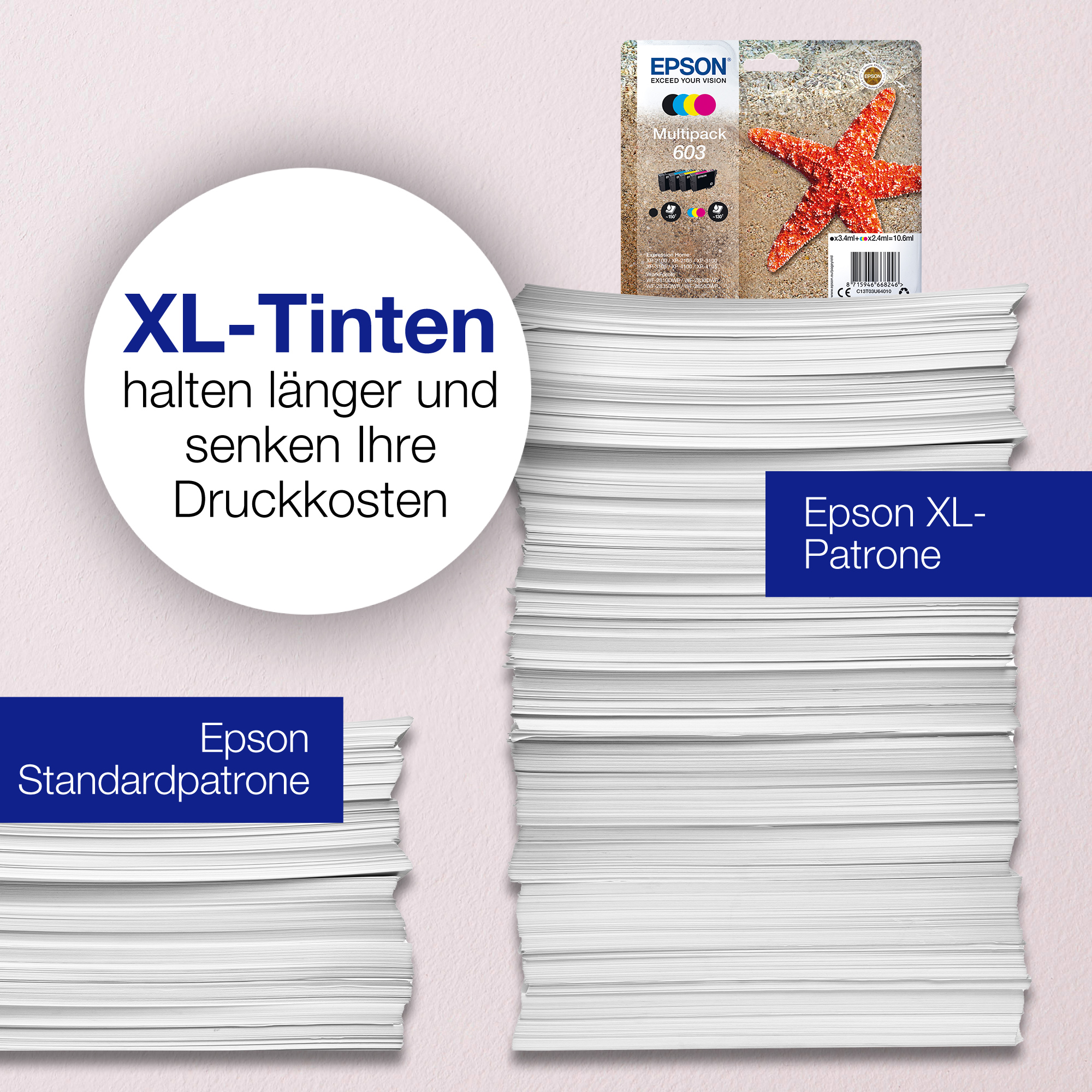 EPSON 1LB Multipack 3-colours 603 EasyMail