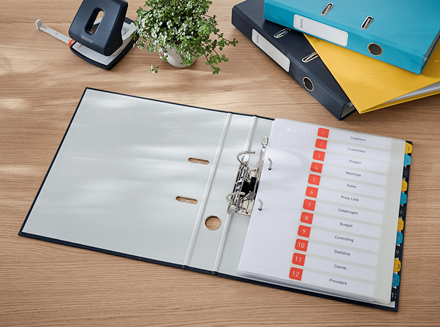 LEITZ Cosy Soft-Touch Ordner samtgrau Karton 5,2 cm DIN A4, 1 St.