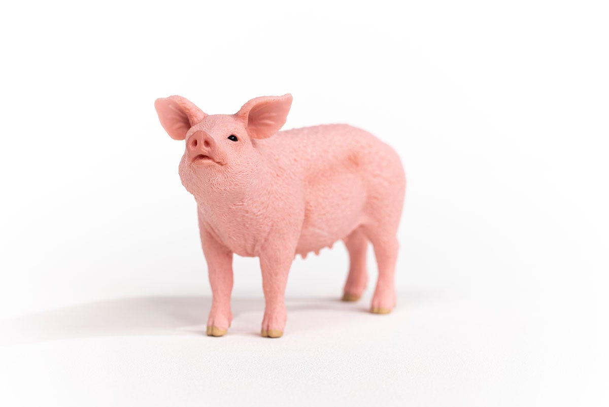 Farm World Schwein, Spielfigur